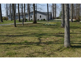 Property photo 51 - East Allen County Real Estate Auction